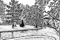 Forks of the Kalamazoo River, Albion Michigan