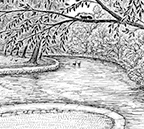 Forks of the Kalamazoo River