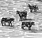 Train Depot Albion Michigan