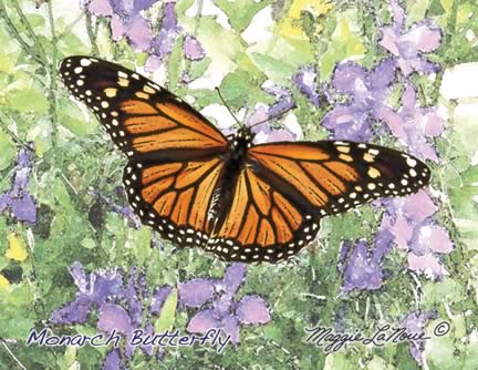 Monarch Butterfly limited edition print