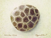 Petoskey Stone Art