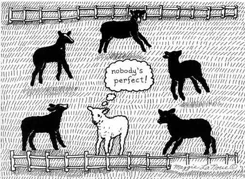 Nobody's Perfect