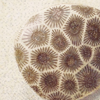 Petoskey Stone Limited Edition Print
