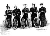 Nobody's Perfect -  Black Sheep - 