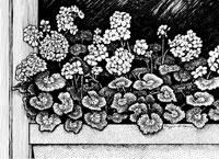 Gardner House Museum, Albion