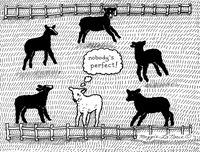 Nobody's Perfect -  Black Sheep - 